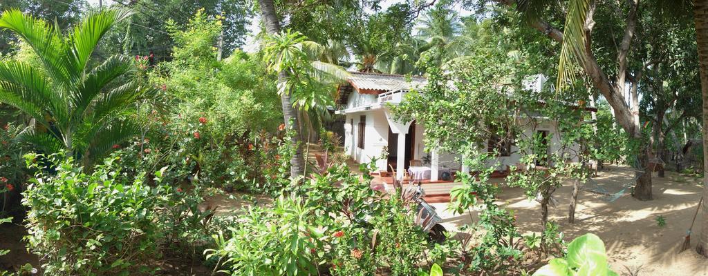 Little White House Hotel Trincomalee Exterior photo